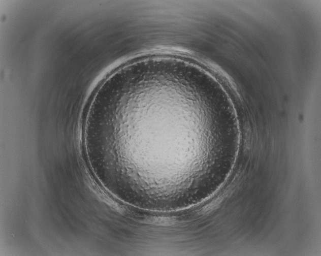 X0000084001280200702161123