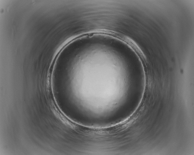 X0000084001292200702161123