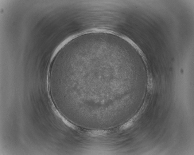 X0000084001294200702161123
