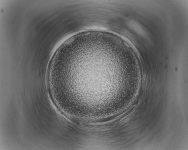 X0000084001295200702161123
