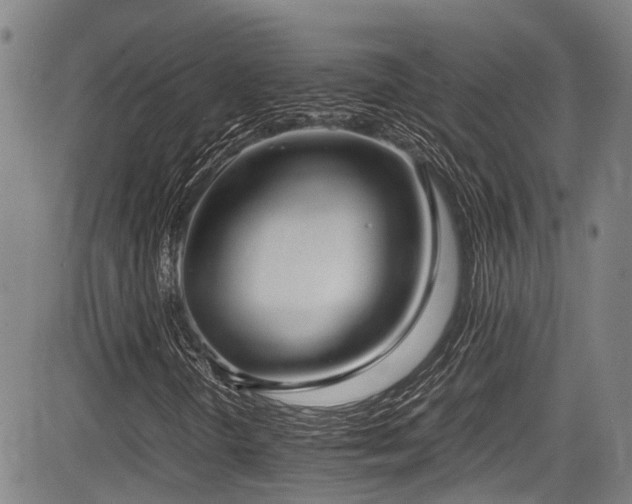 X0000084001298200702161122