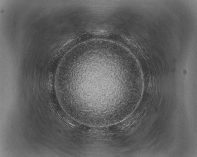X0000084001301200702161122