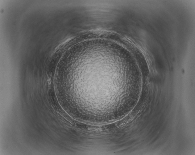 X0000084001302200702161122