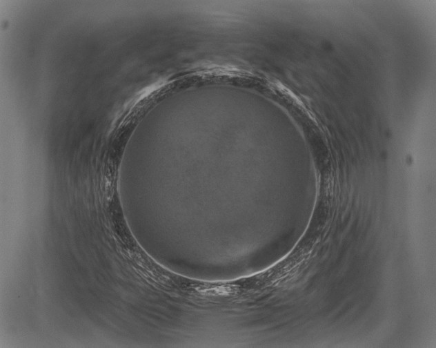 X0000084001303200702161122