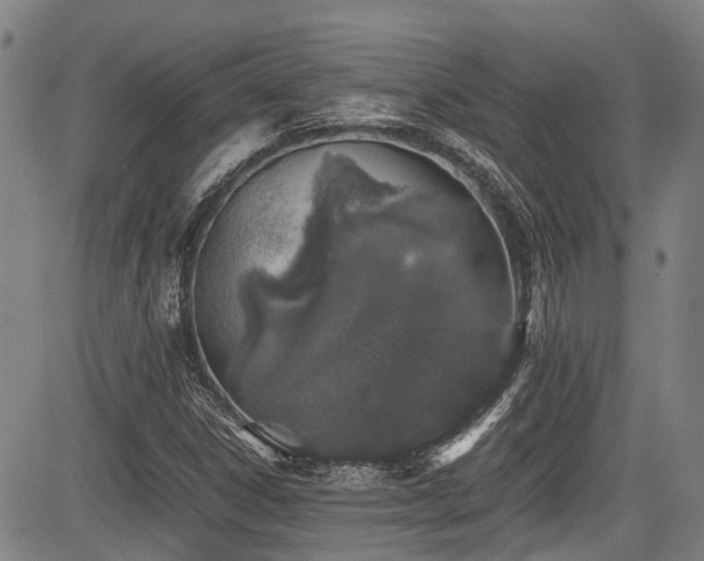 X0000084001306200702161122