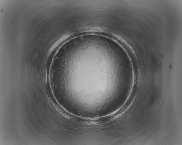 X0000084001317200702161123
