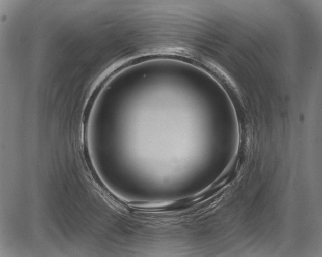 X0000084001324200702161123