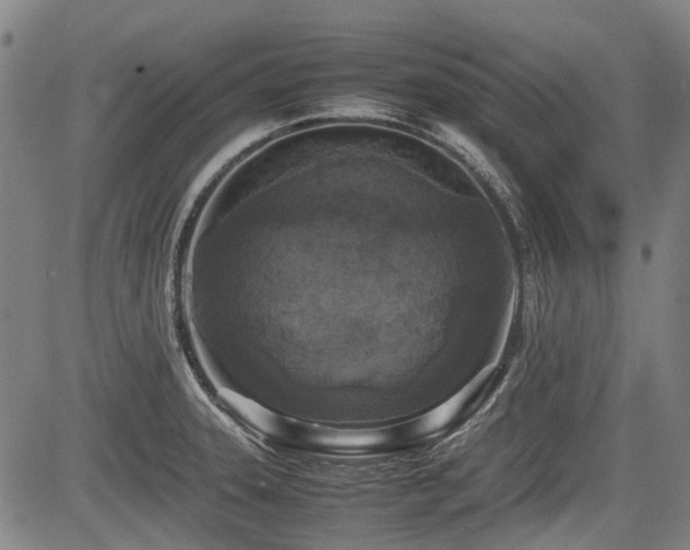 X0000084001331200702161123