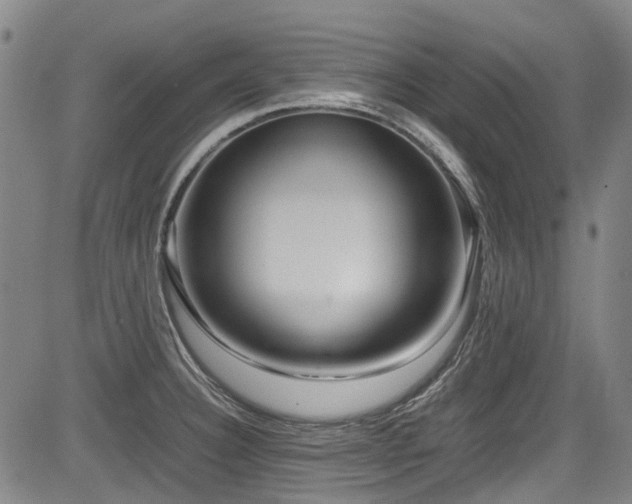 X0000084001332200702161123