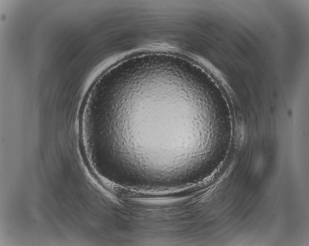 X0000084001335200702161123
