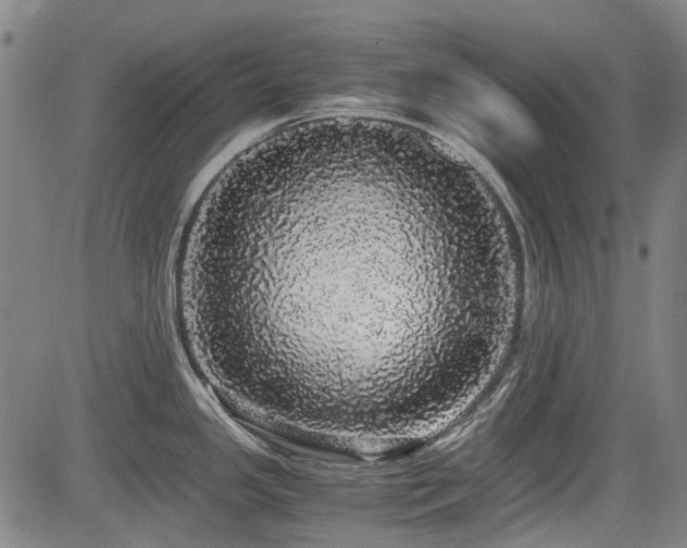 X0000084001341200702161123