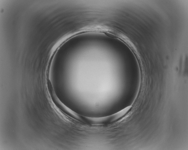 X0000084001344200702161123