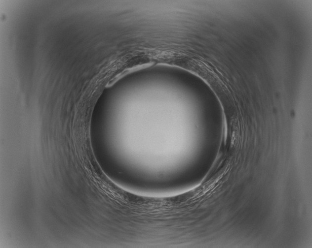 X0000084001345200702161122