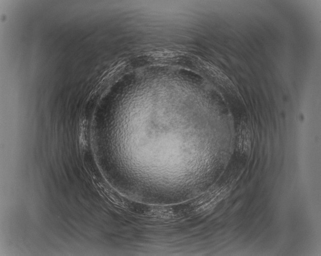 X0000084001346200702161122