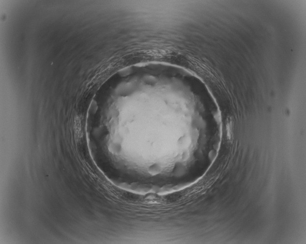 X0000084001347200702161122