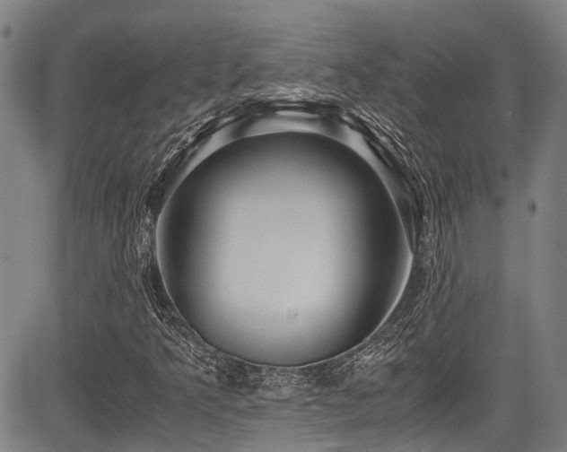 X0000084001349200702161122
