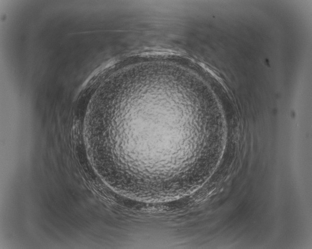 X0000084001351200702161122