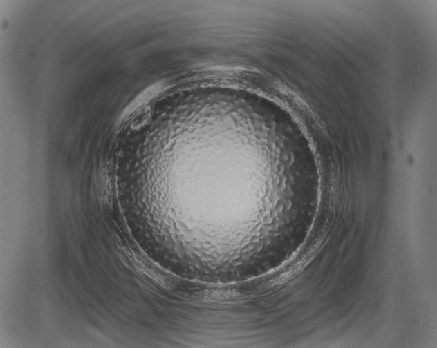 X0000084001354200702161122