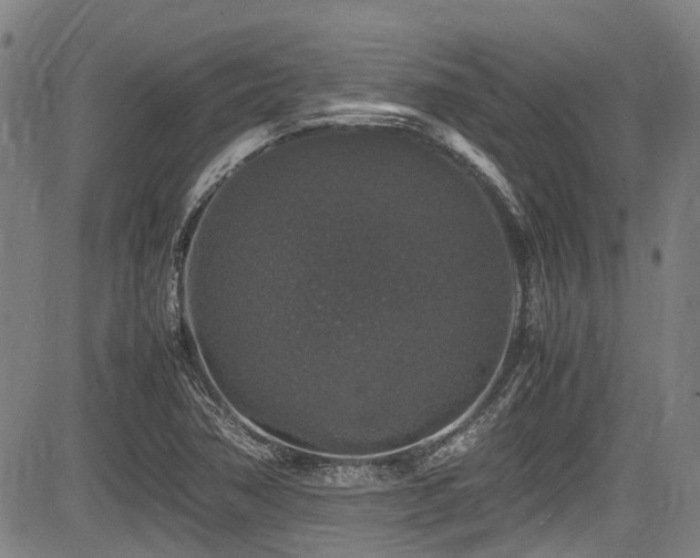 X0000084001362200702161122
