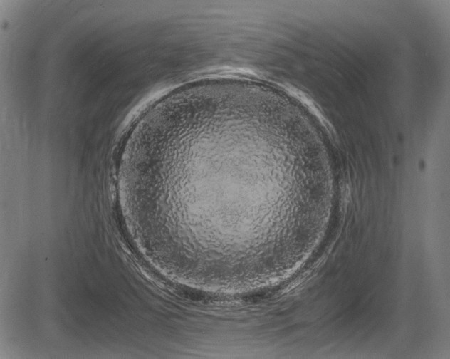 X0000084001363200702161122