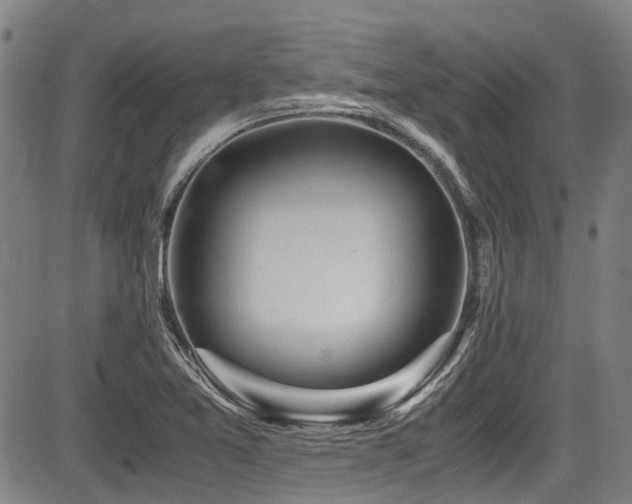 X0000084001365200702161122