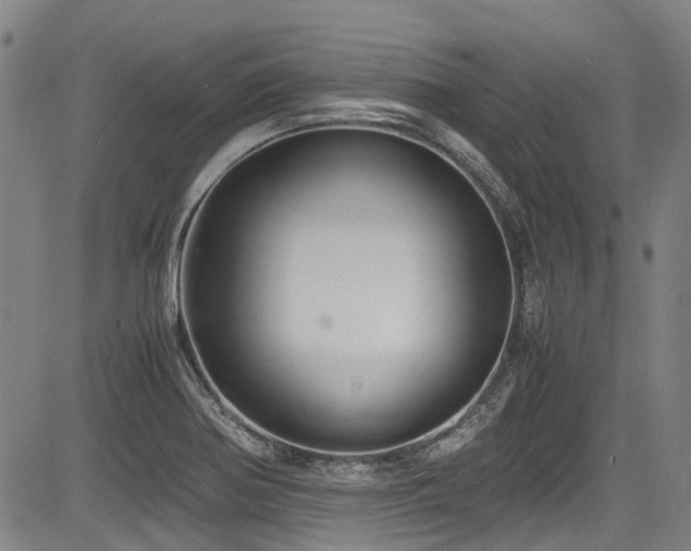 X0000084001370200702161122