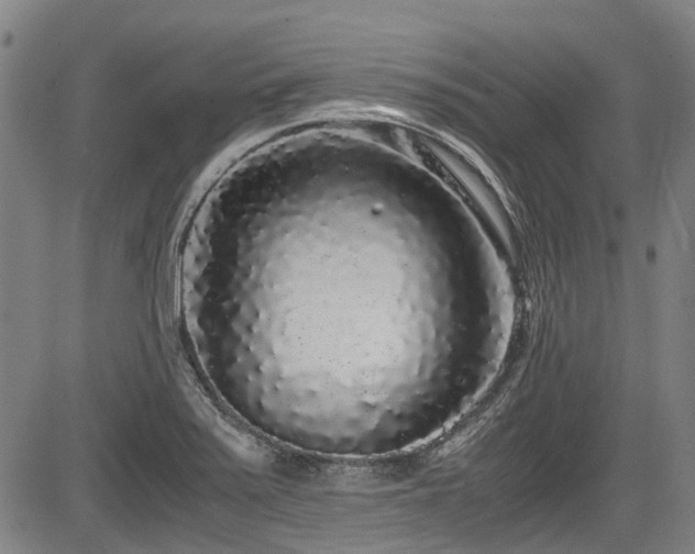 X0000084001371200702161122