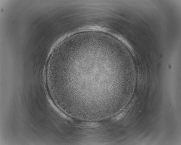 X0000084001382200702161122
