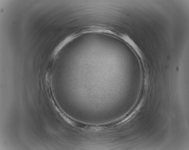 X0000084001385200702161122