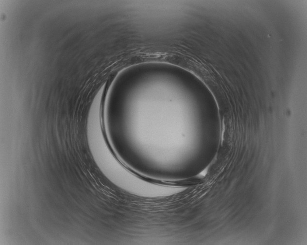 X0000084001394200702161121