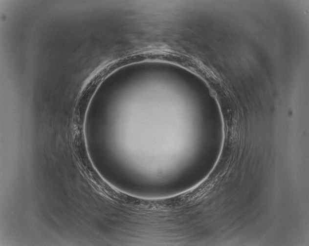 X0000084001400200702161121