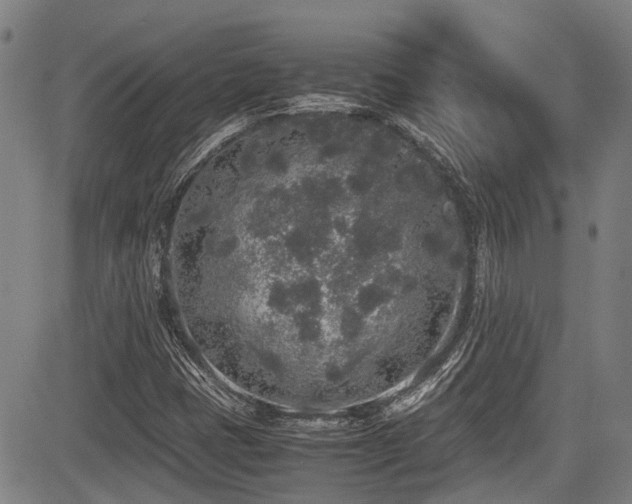 X0000084001401200702161121