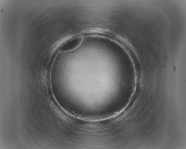 X0000084001404200702161121
