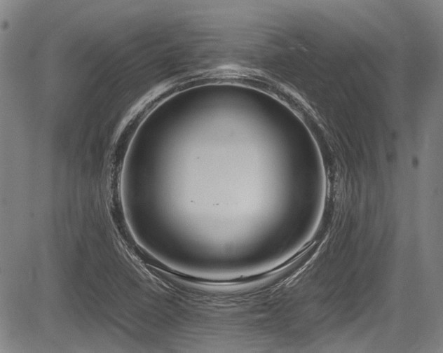 X0000084001410200702161121