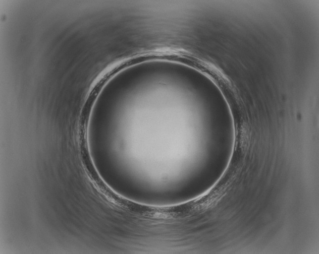 X0000084001412200702161121