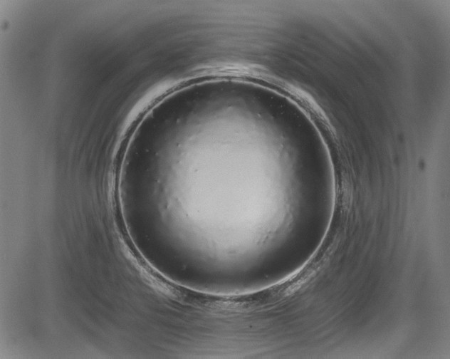 X0000084001424200702161121