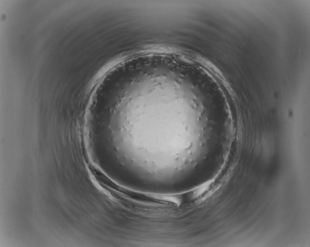 X0000084001433200702161121