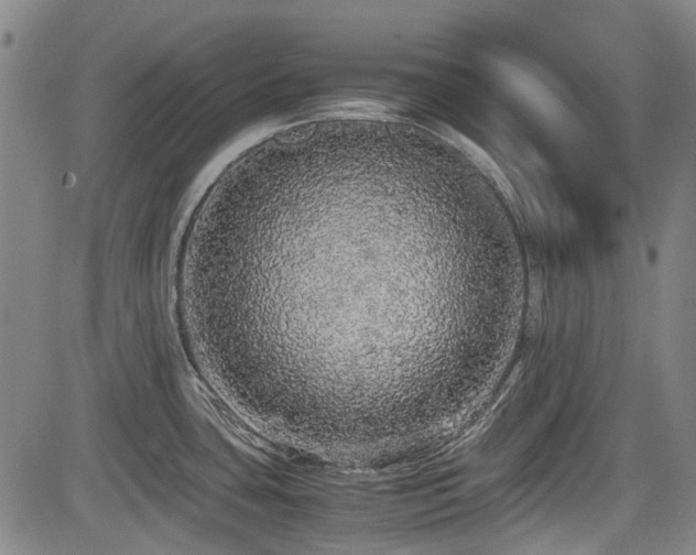 X0000084001435200702161121