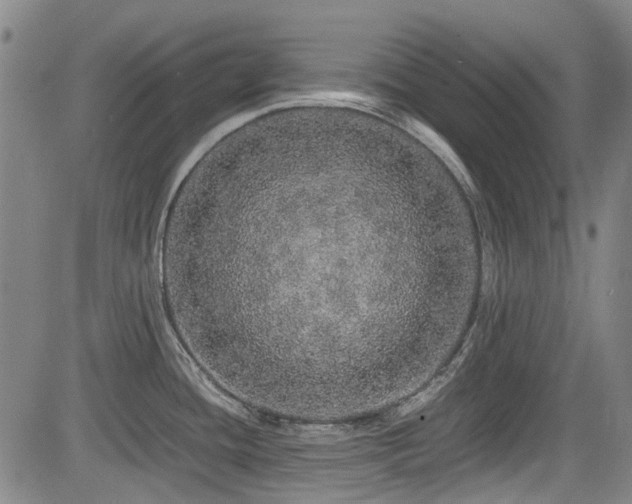 X0000084001436200702161121