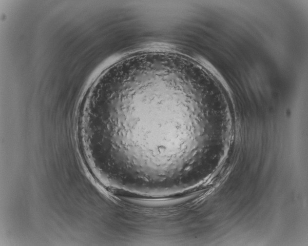 X0000084001437200702161121