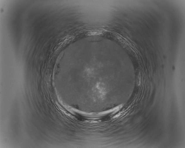 X0000084001441200702161121