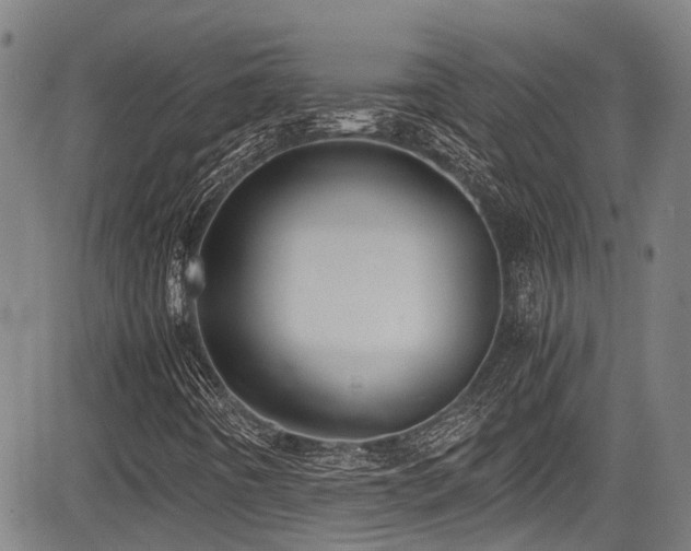 X0000084001442200702161121