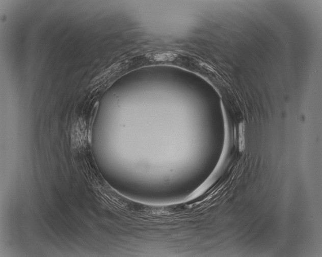 X0000084001443200702161121