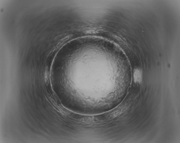 X0000084001444200702161121