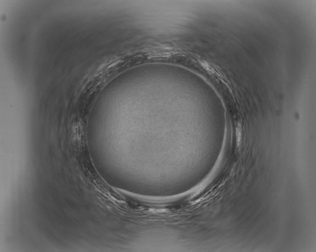 X0000084001445200702161121