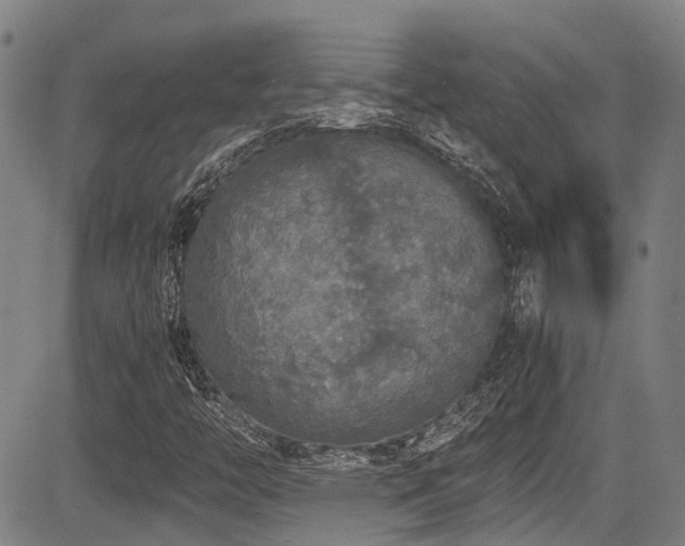 X0000084001446200702161121