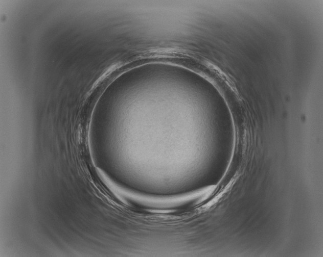 X0000084001449200702161121