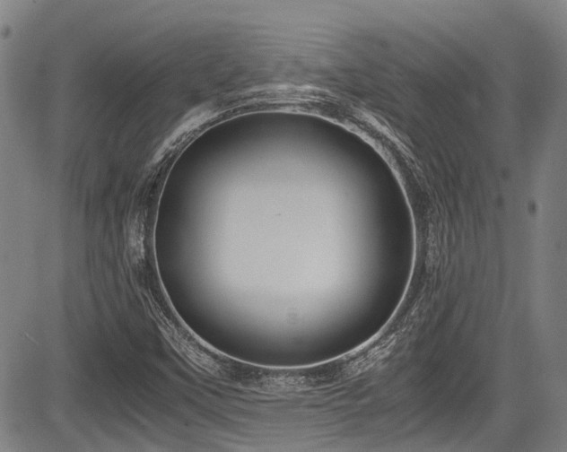 X0000084001451200702161121
