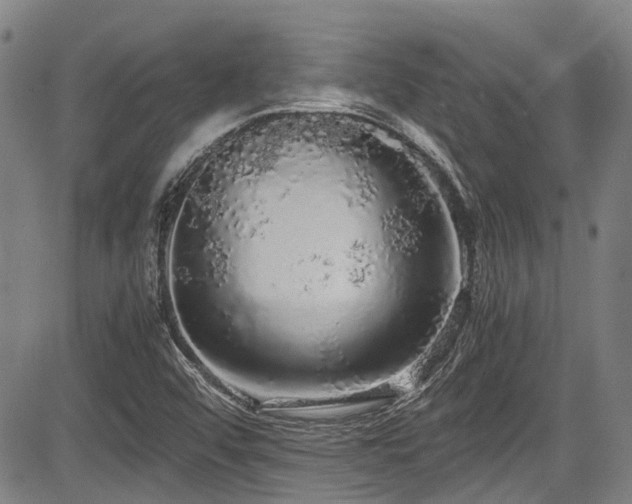 X0000084001456200702161120