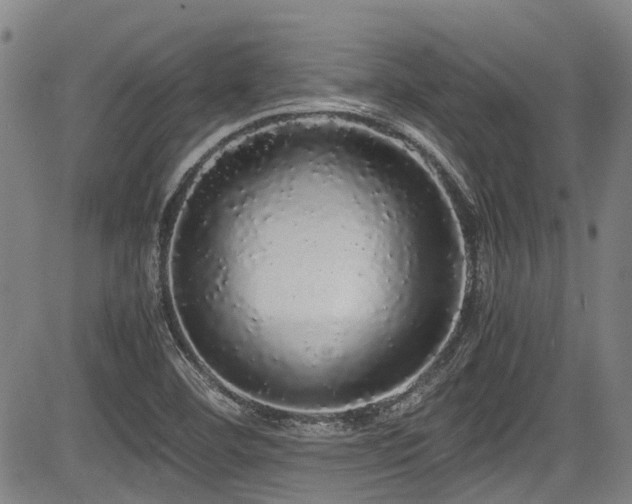 X0000084001460200702161120
